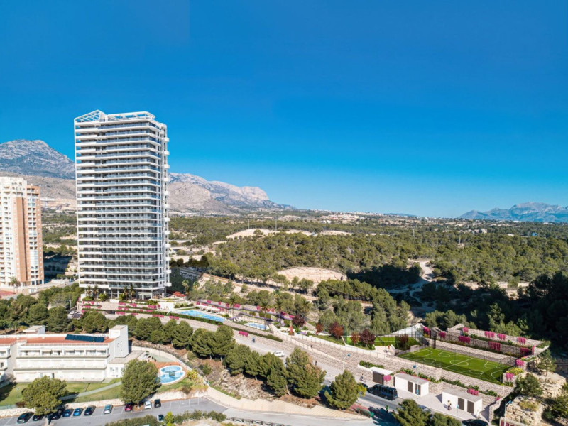 Main Property View