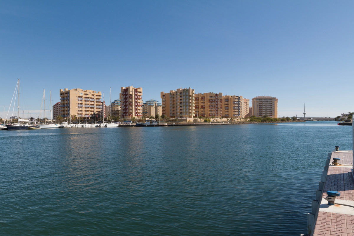 Main Property View