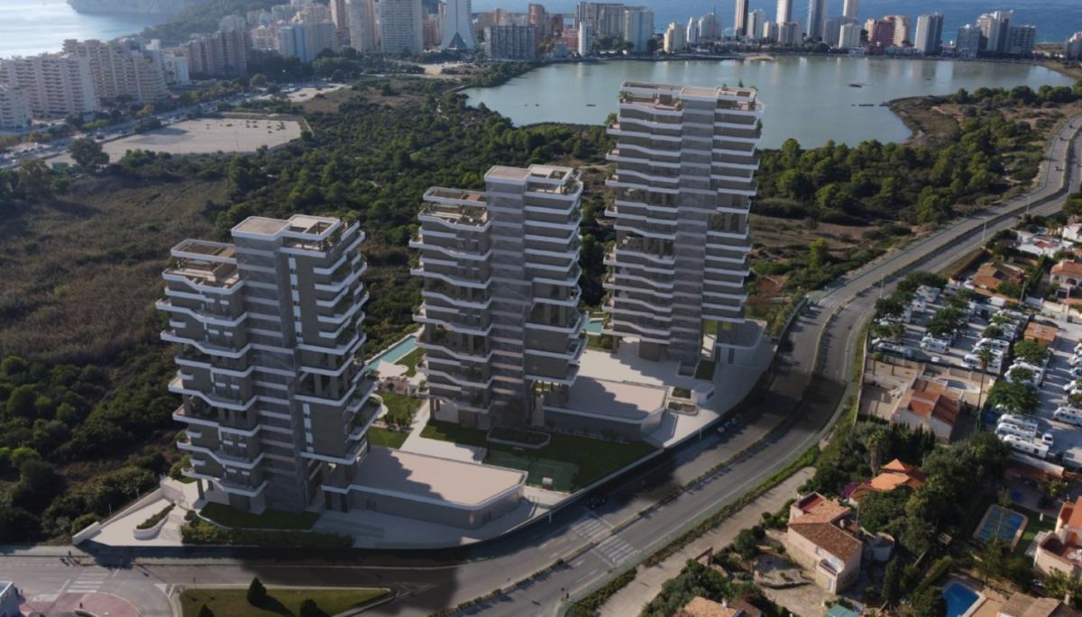 Main Property View