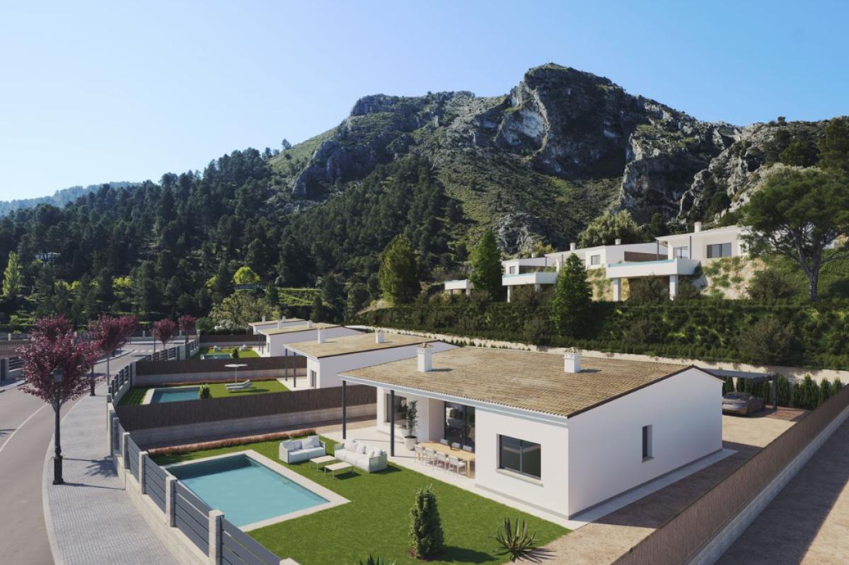 Main Property View