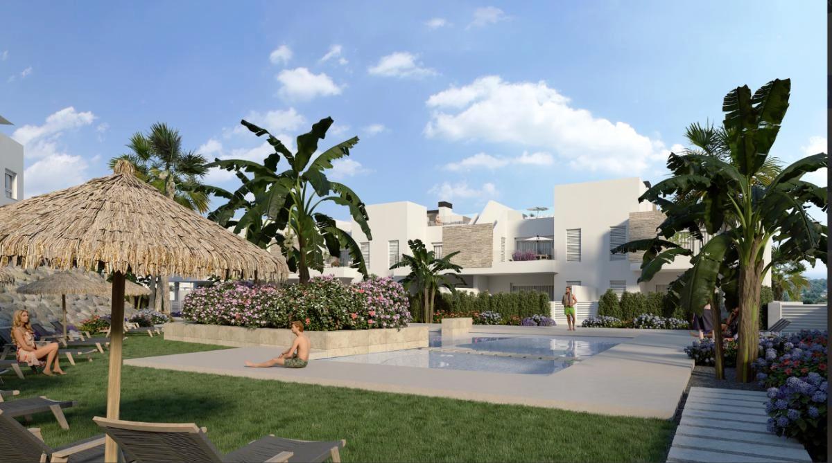 Main Property View