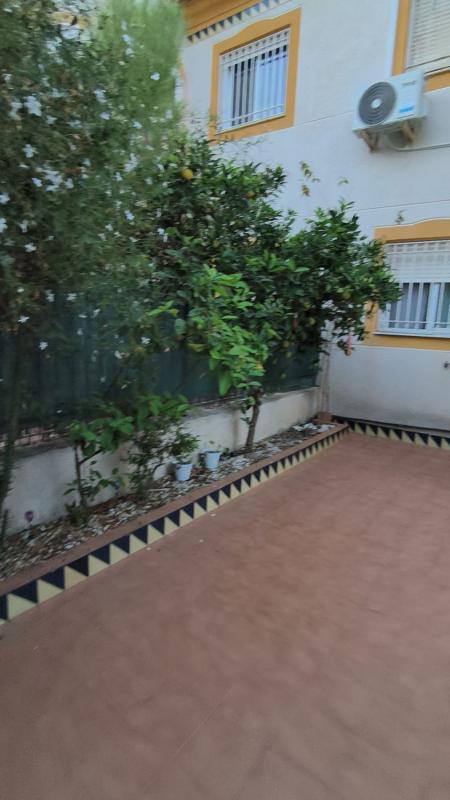 Maison de ville - Guardamar del Segura — 12