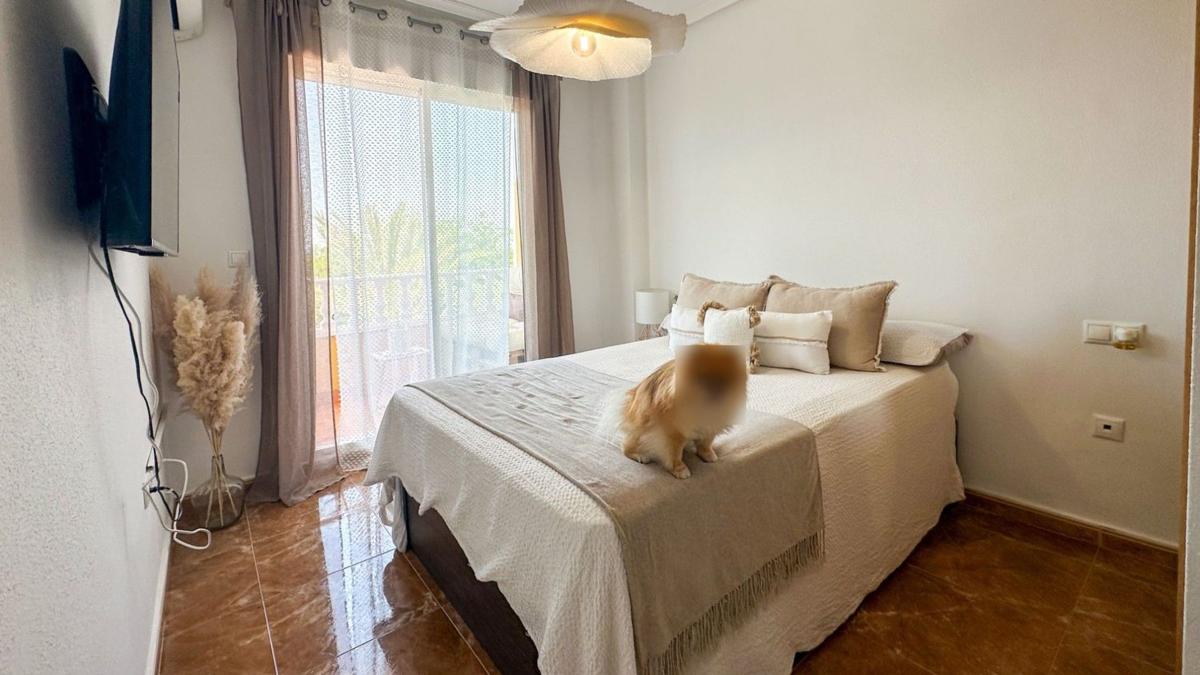 Piso en Puerto Deportivo, Guardamar del Segura — foto 16