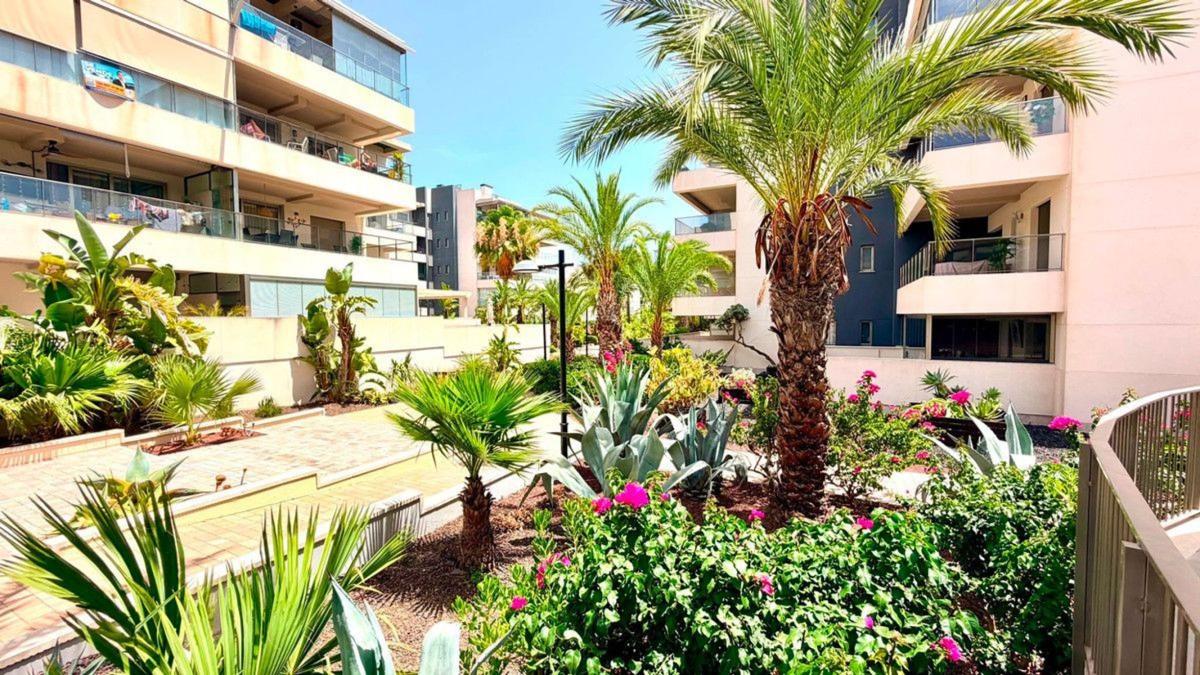 Piso en La Regia, Orihuela — foto 21