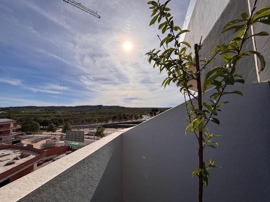 Piso en Calle Verdi, 20, Centro, San Miguel de Salinas — foto 25
