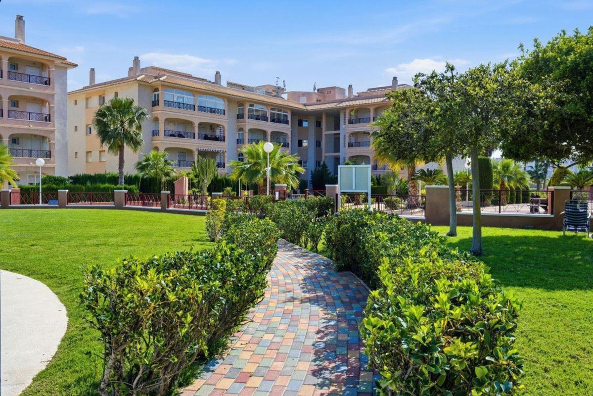 Piso en Villamartín, Orihuela — foto 21