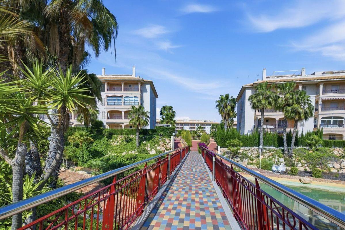 Piso en Villamartín, Orihuela — foto 28