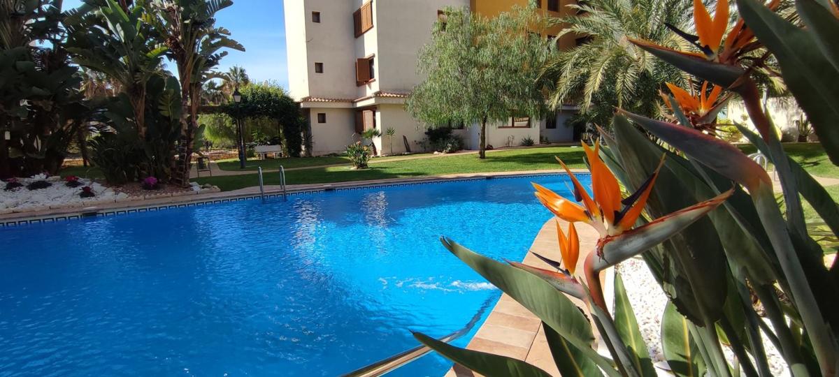 Piso en Avenida de las Olas s/n, Punta Prima, Torrevieja — foto 3