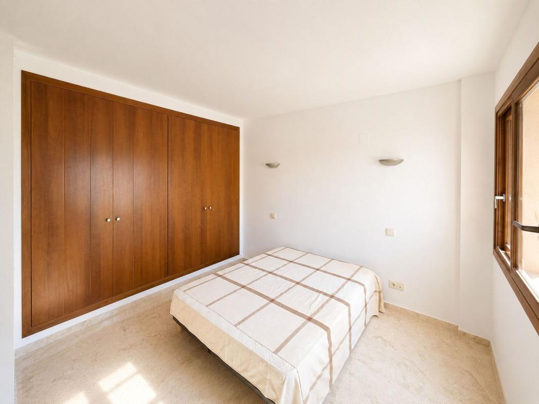 Piso en Avenida de las Olas s/n, Punta Prima, Torrevieja — foto 11
