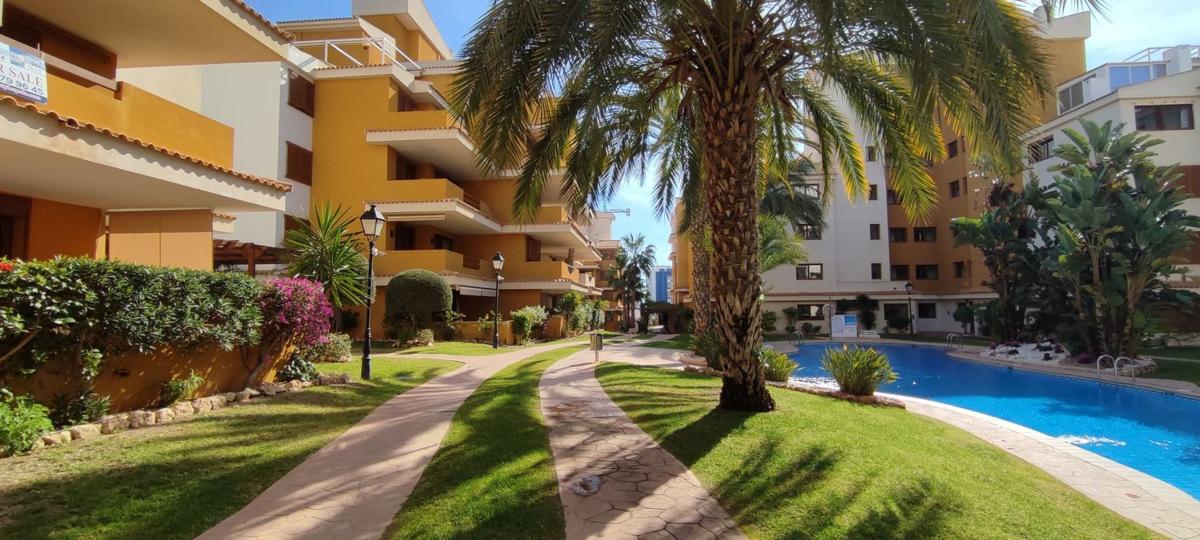 Piso en Avenida de las Olas s/n, Punta Prima, Torrevieja — foto 16