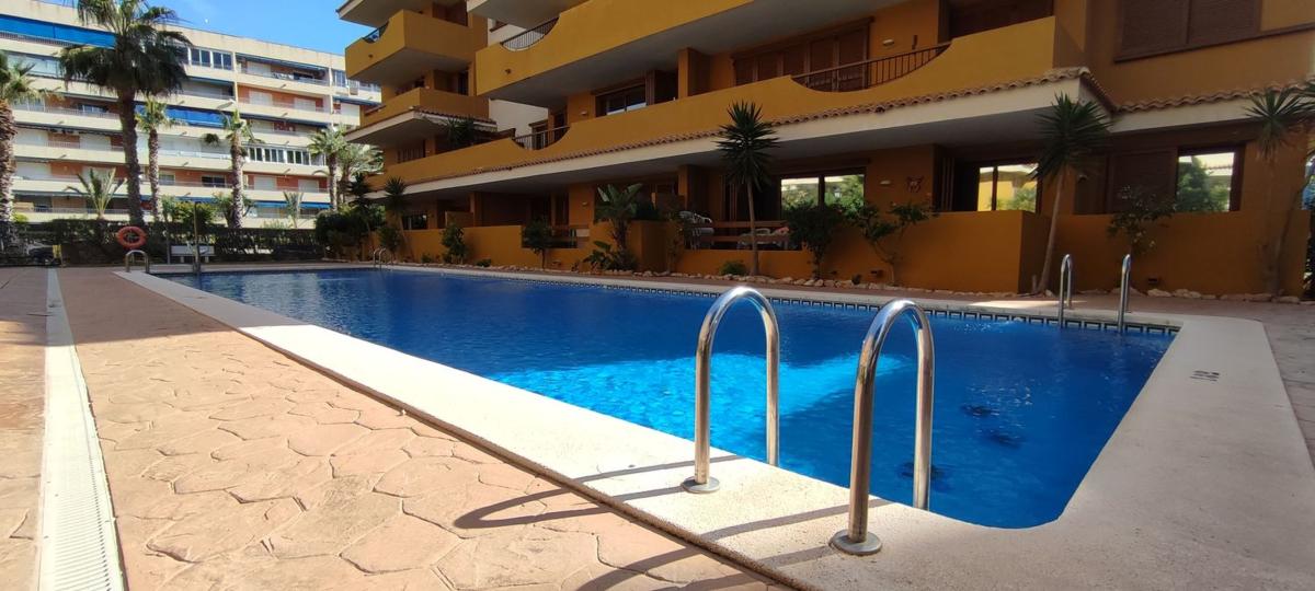 Piso en Avenida de las Olas s/n, Punta Prima, Torrevieja — foto 17