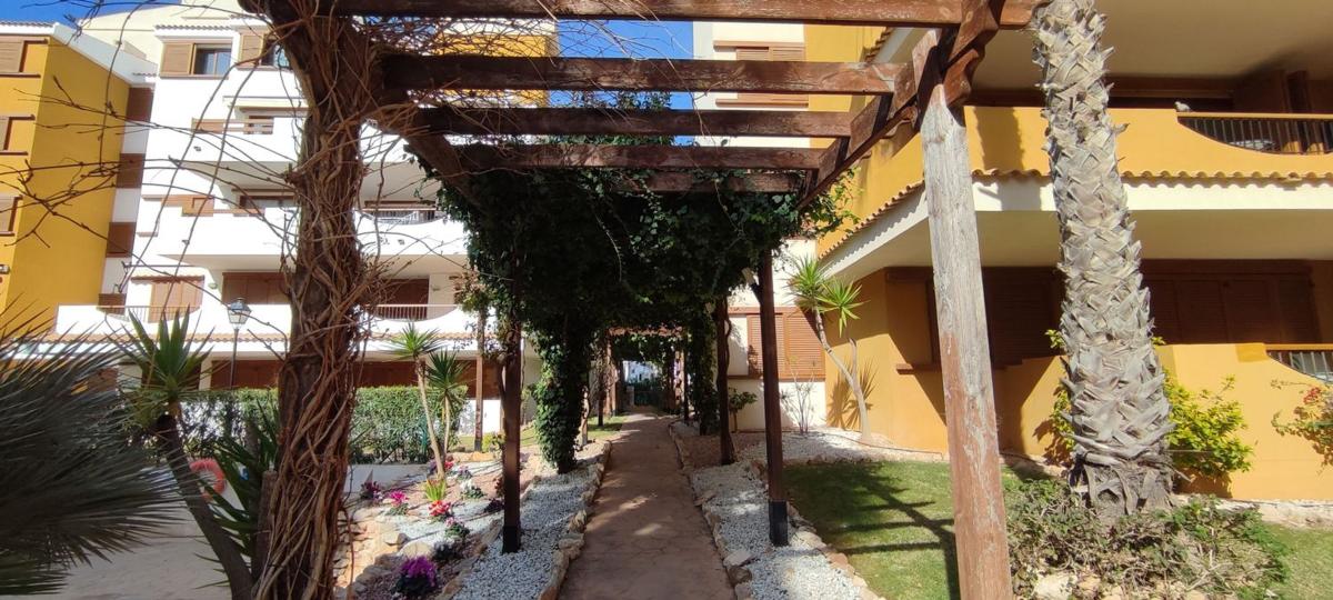 Piso en Avenida de las Olas s/n, Punta Prima, Torrevieja — foto 18