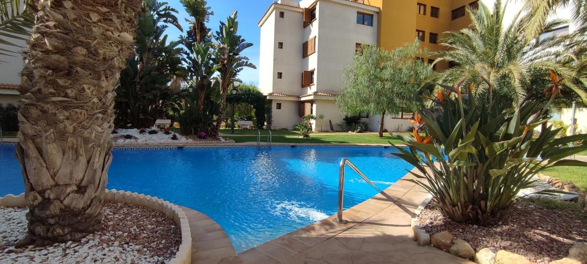 Piso en Avenida de las Olas s/n, Punta Prima, Torrevieja — foto 21