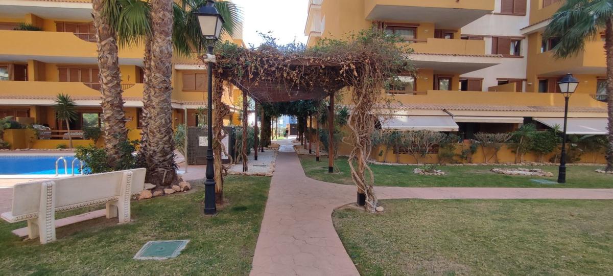 Piso en Avenida de las Olas s/n, Punta Prima, Torrevieja — foto 22