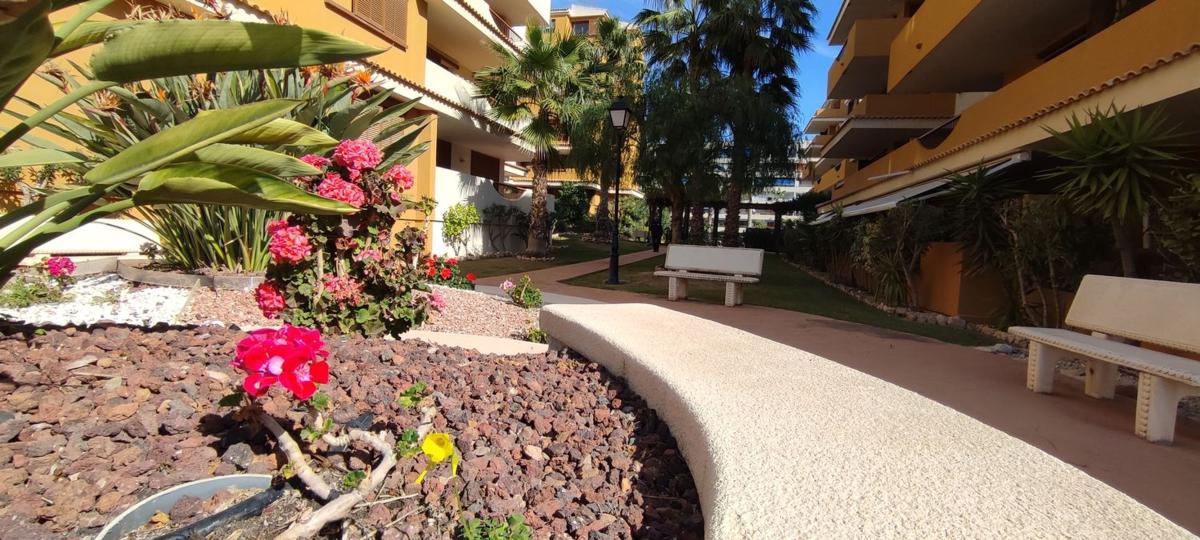Piso en Avenida de las Olas s/n, Punta Prima, Torrevieja — foto 23
