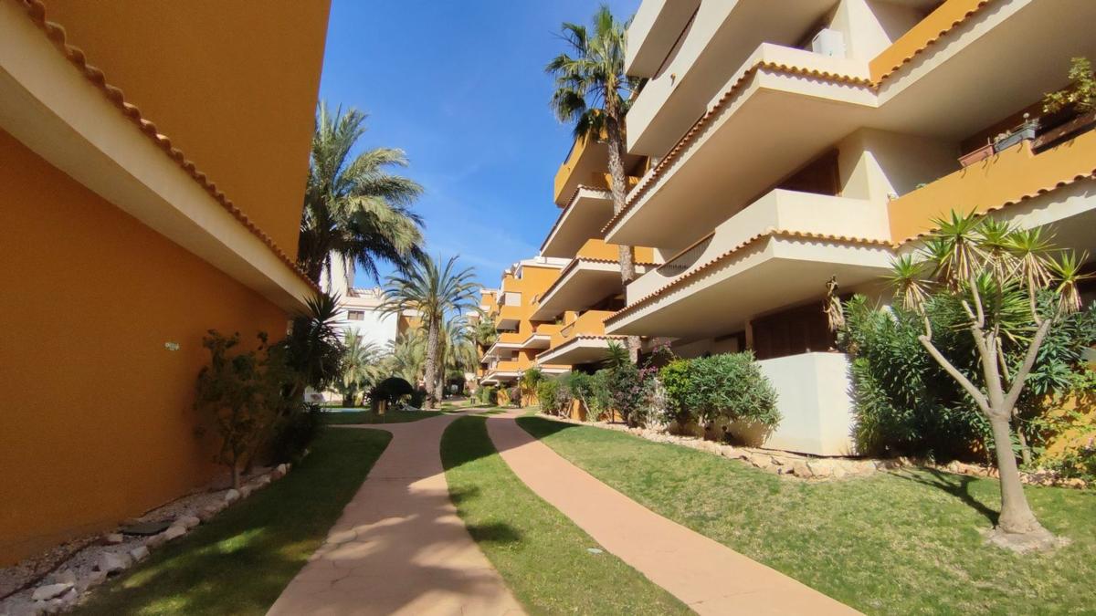 Piso en Avenida de las Olas s/n, Punta Prima, Torrevieja — foto 24